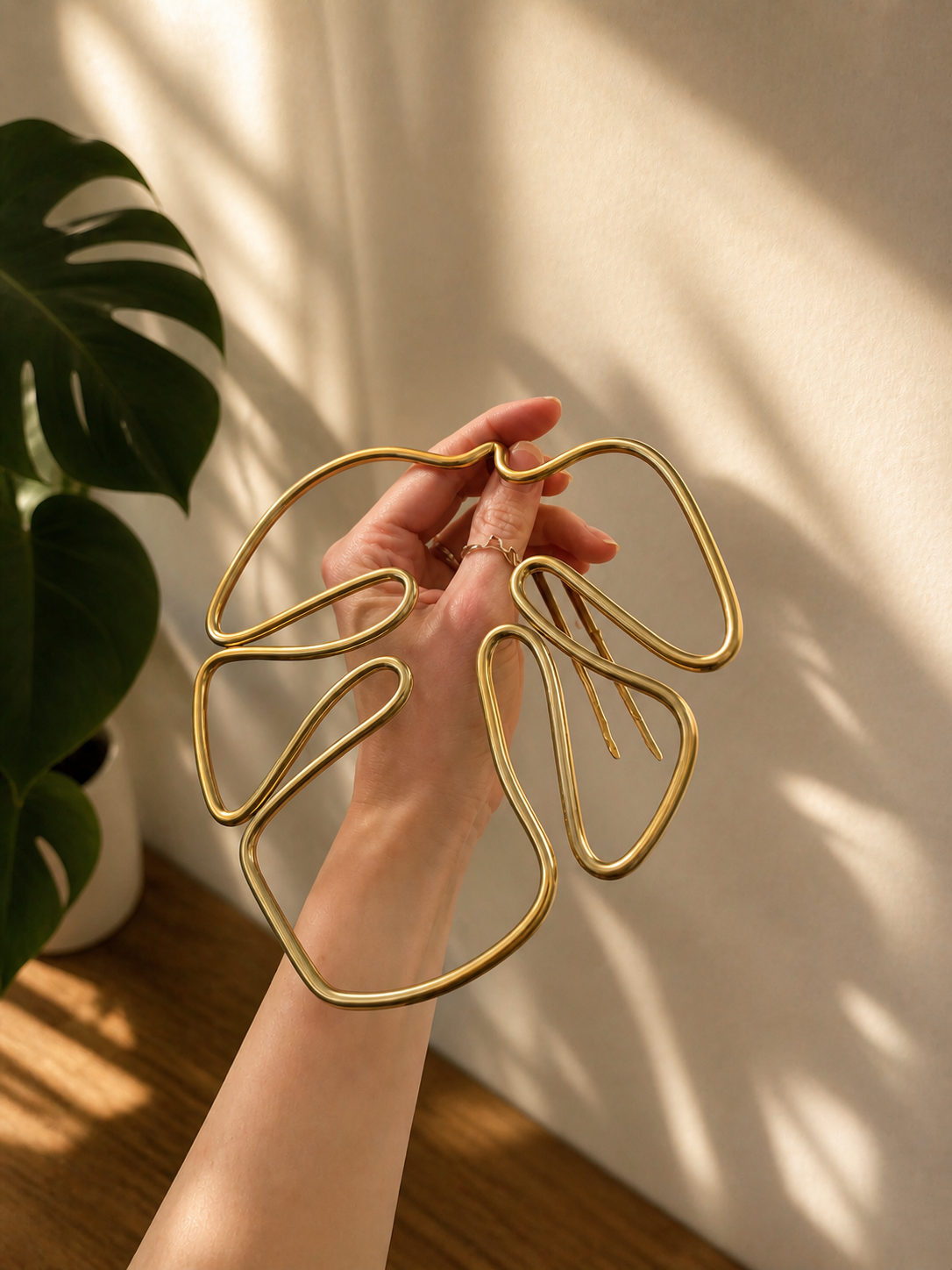 Monstera Support Frame