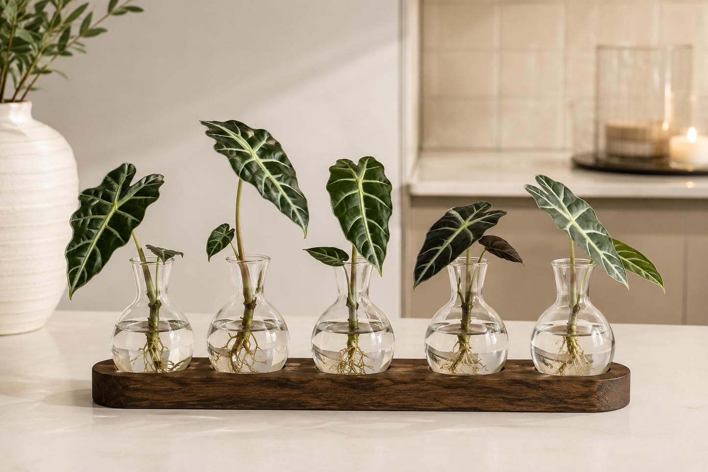 Modern Glass Propagation Station with Wooden Tray