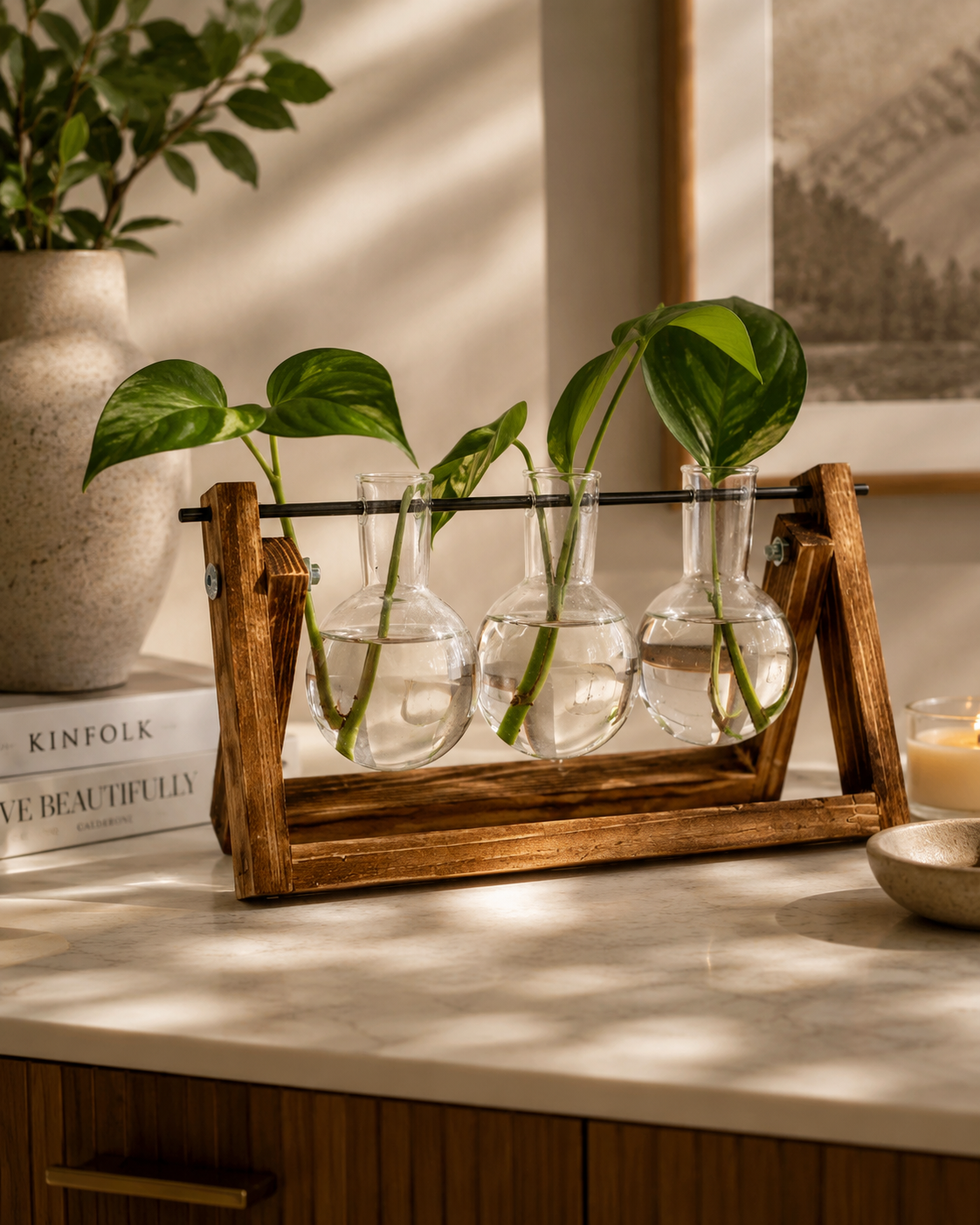 Modern Wooden Propagation Station