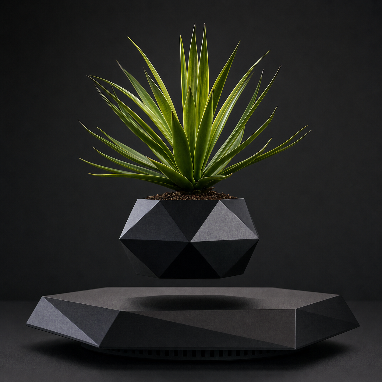 Levitating Magnetic Plant Pot – Floating Rotating Planter