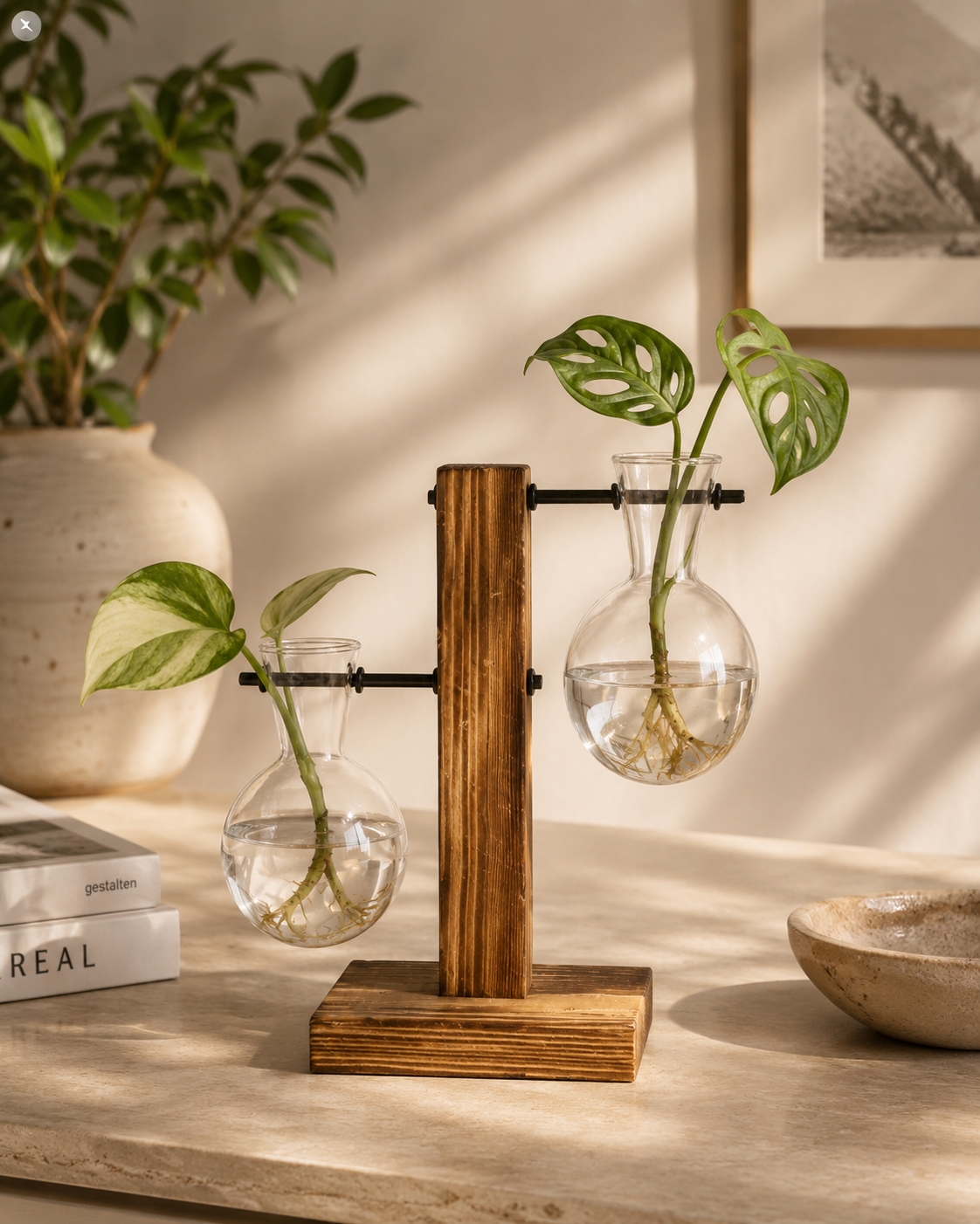 Modern Glass Propagation Vase with Wooden Stand