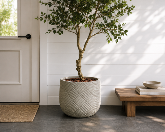 Luxe Textured Stone Planters for Indoor & Outdoor Spaces