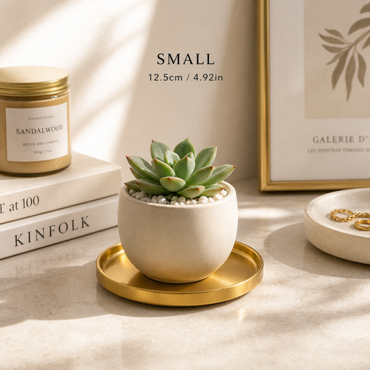 Aurelle Gold Display Tray – Luxury Minimalist Accent