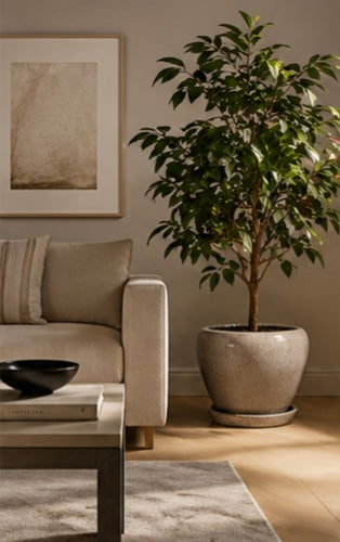 Forma Textured Planter – Luxury Neutral Ceramic Pot (10”)